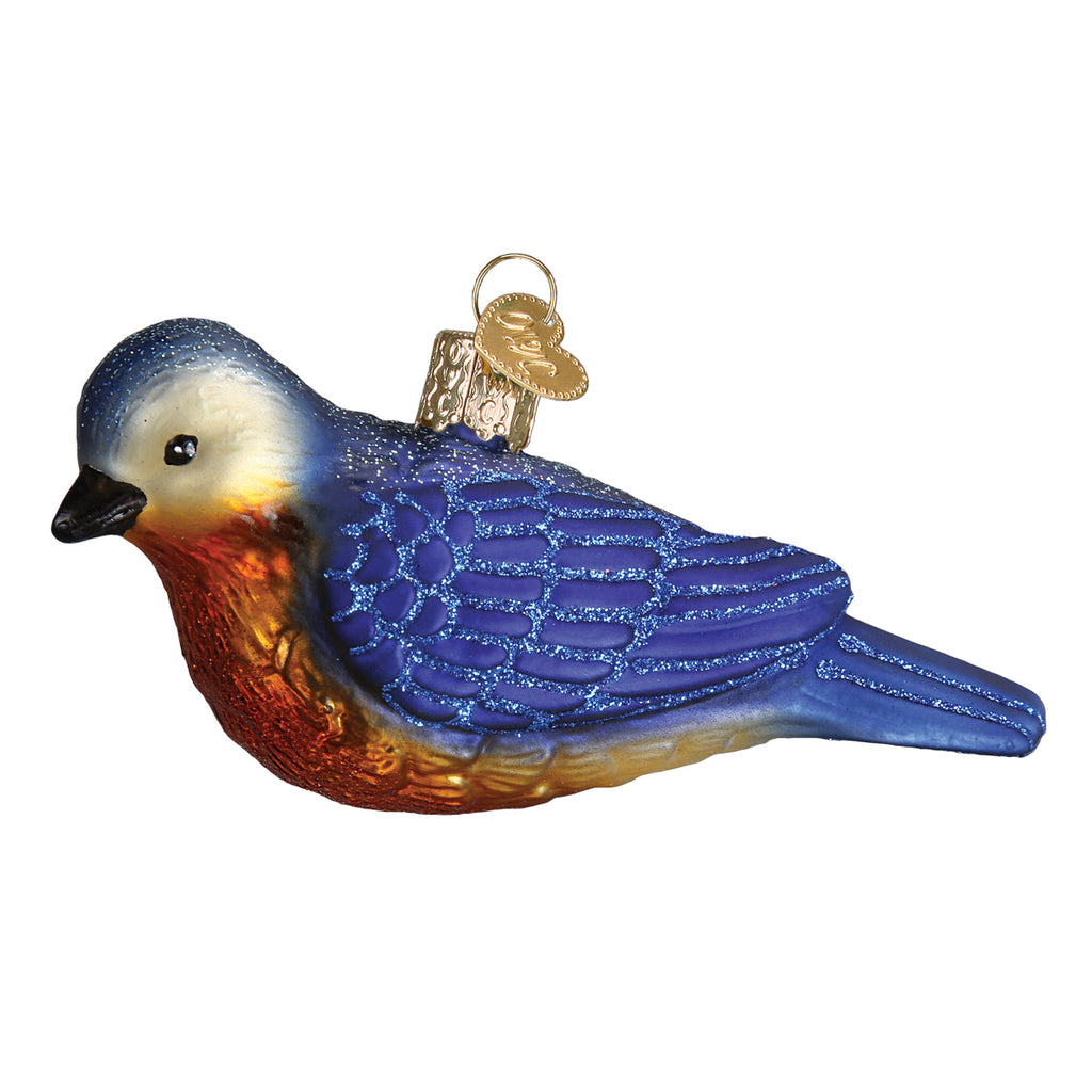 Hanging Western Bluebird