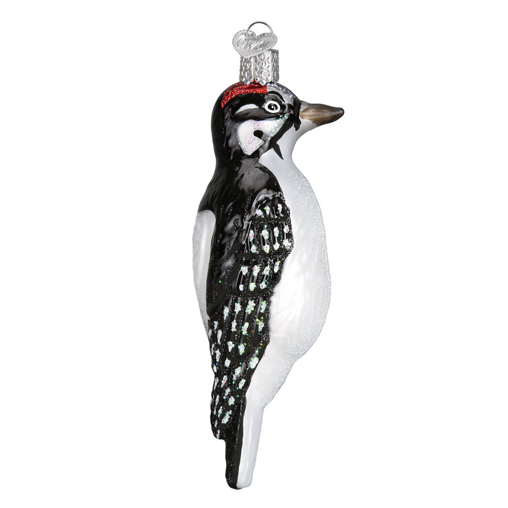 Hanging Hairy Woodpecker