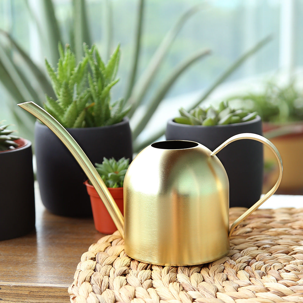 Stainless Steel Plant Watering Can