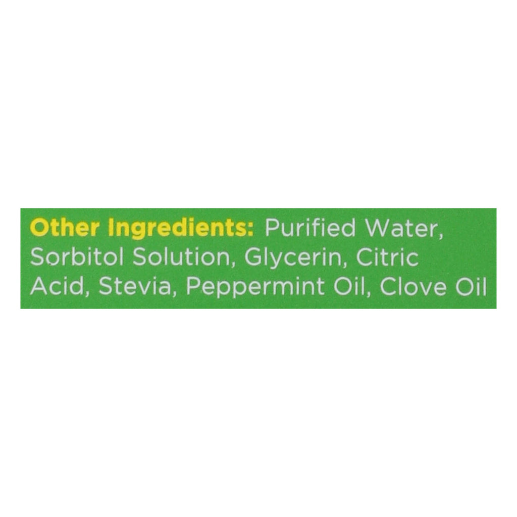 Herbion Naturals Sugar-Free Throat Syrup - 5 Oz