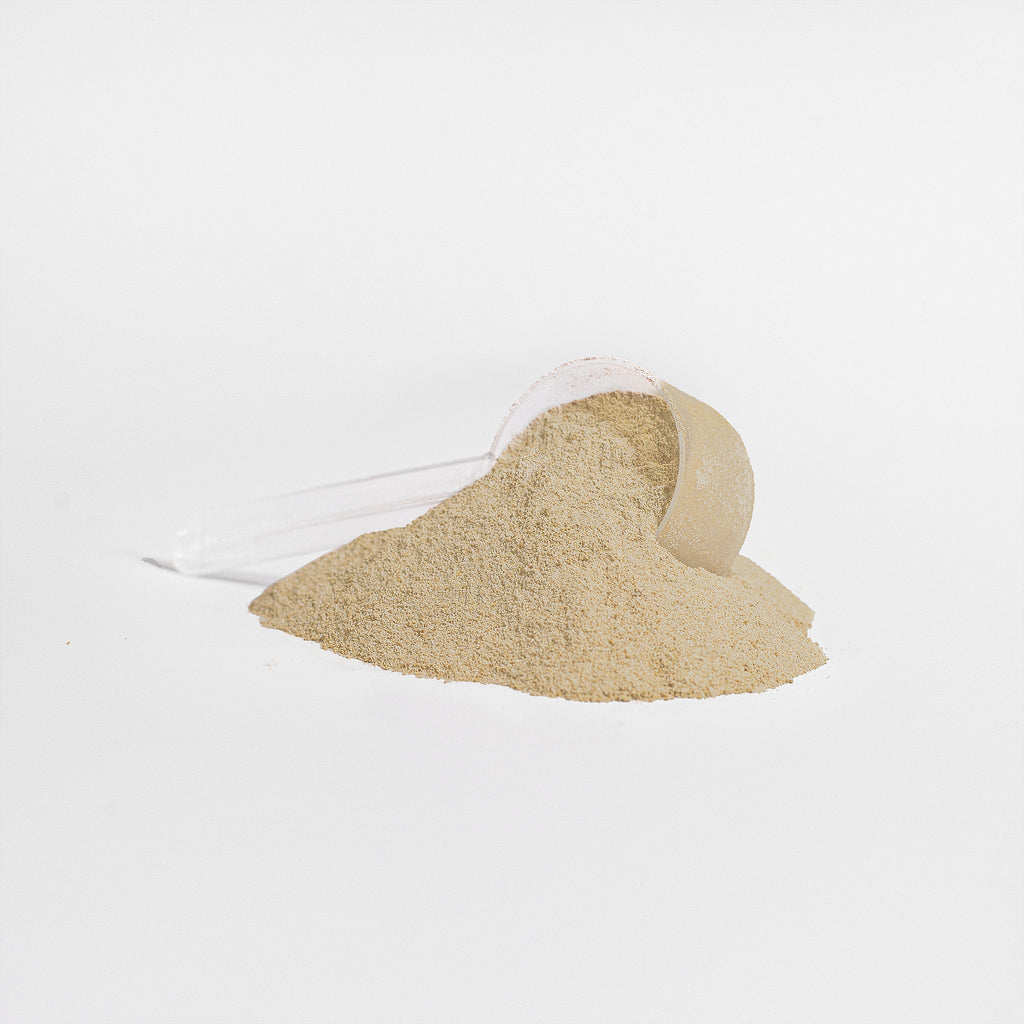 Beat Charge - Plant Protein (Vanilla)