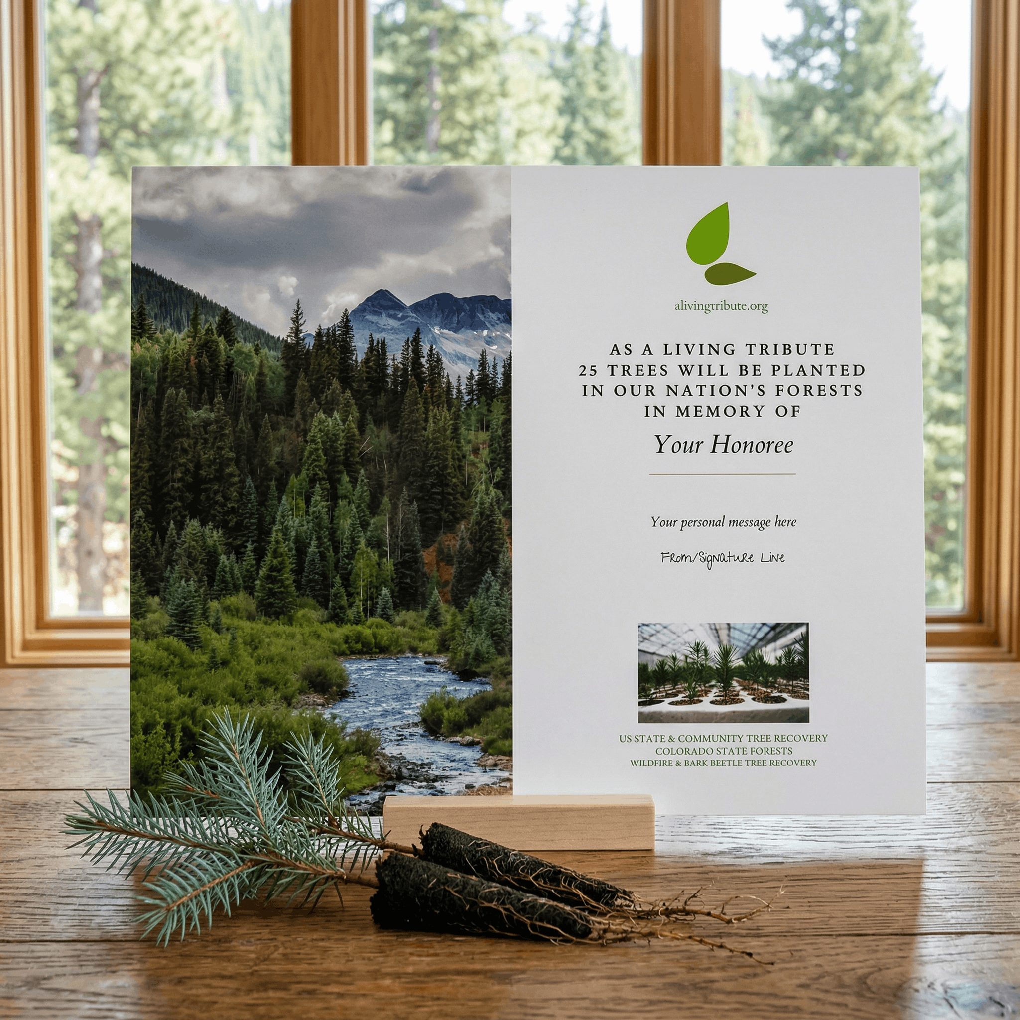 Plant a Tree for Someone in Colorado - Colorado Memorial Trees