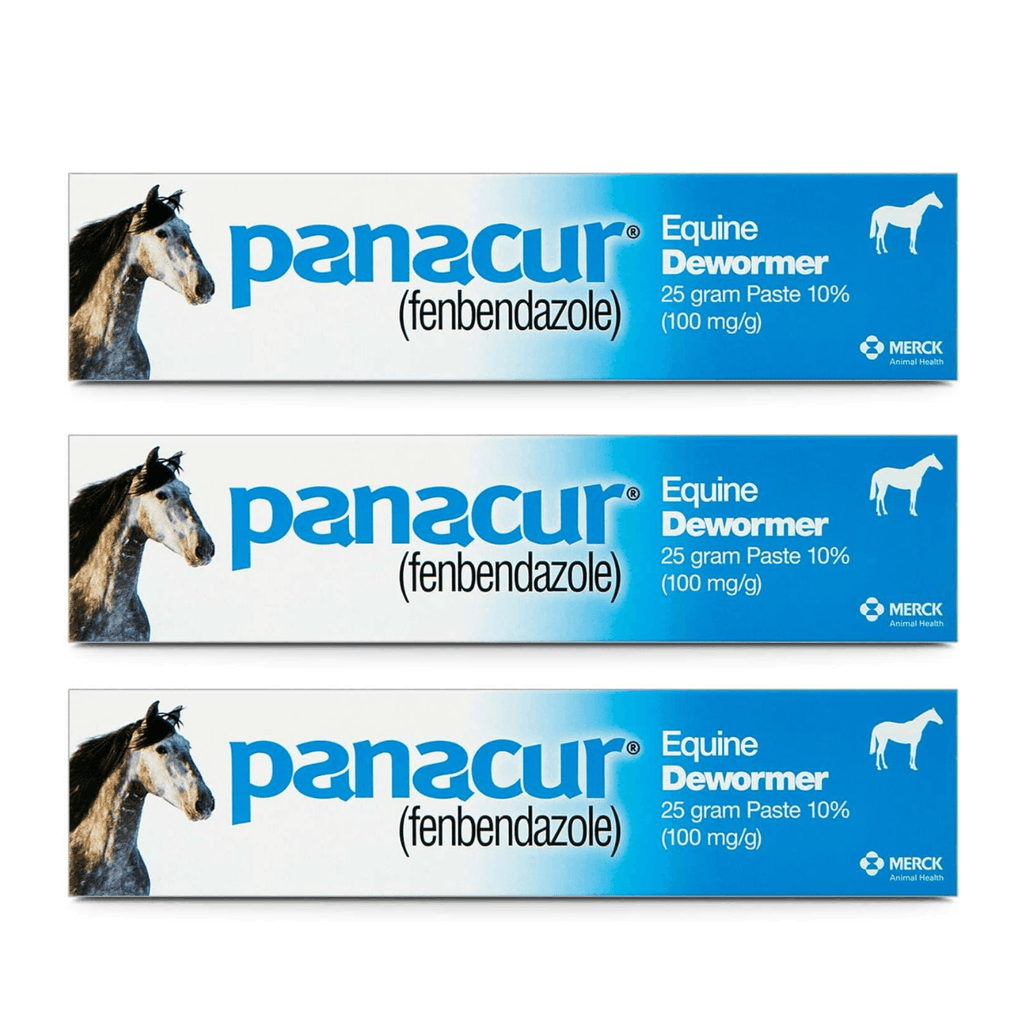 Panacur Equine Dewormer Paste 10% Fenbendazole – 3-Pack | Apple-Cinnamon