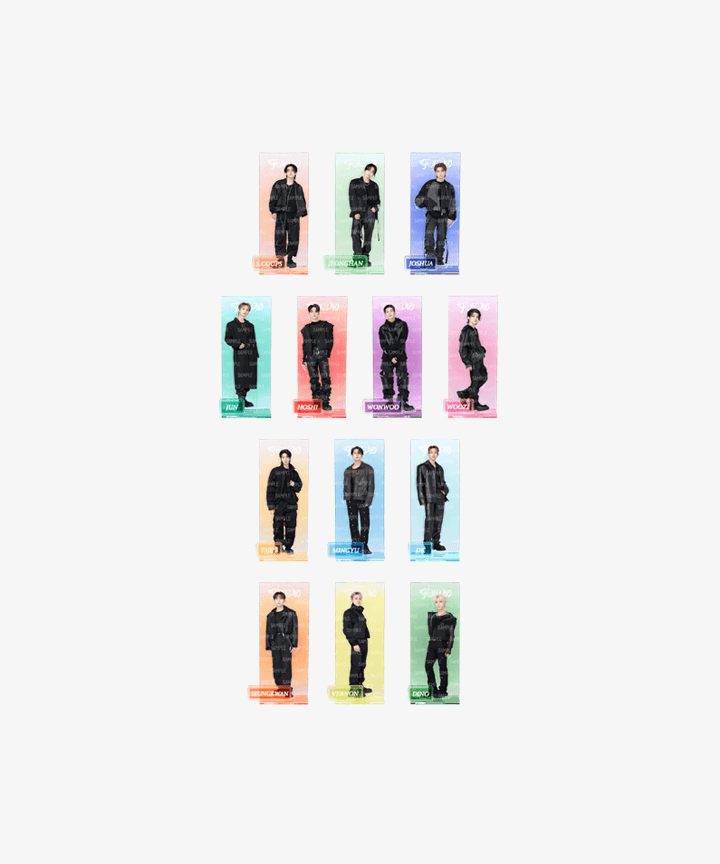 Seventeen Official MD - Tour Follow To Japan