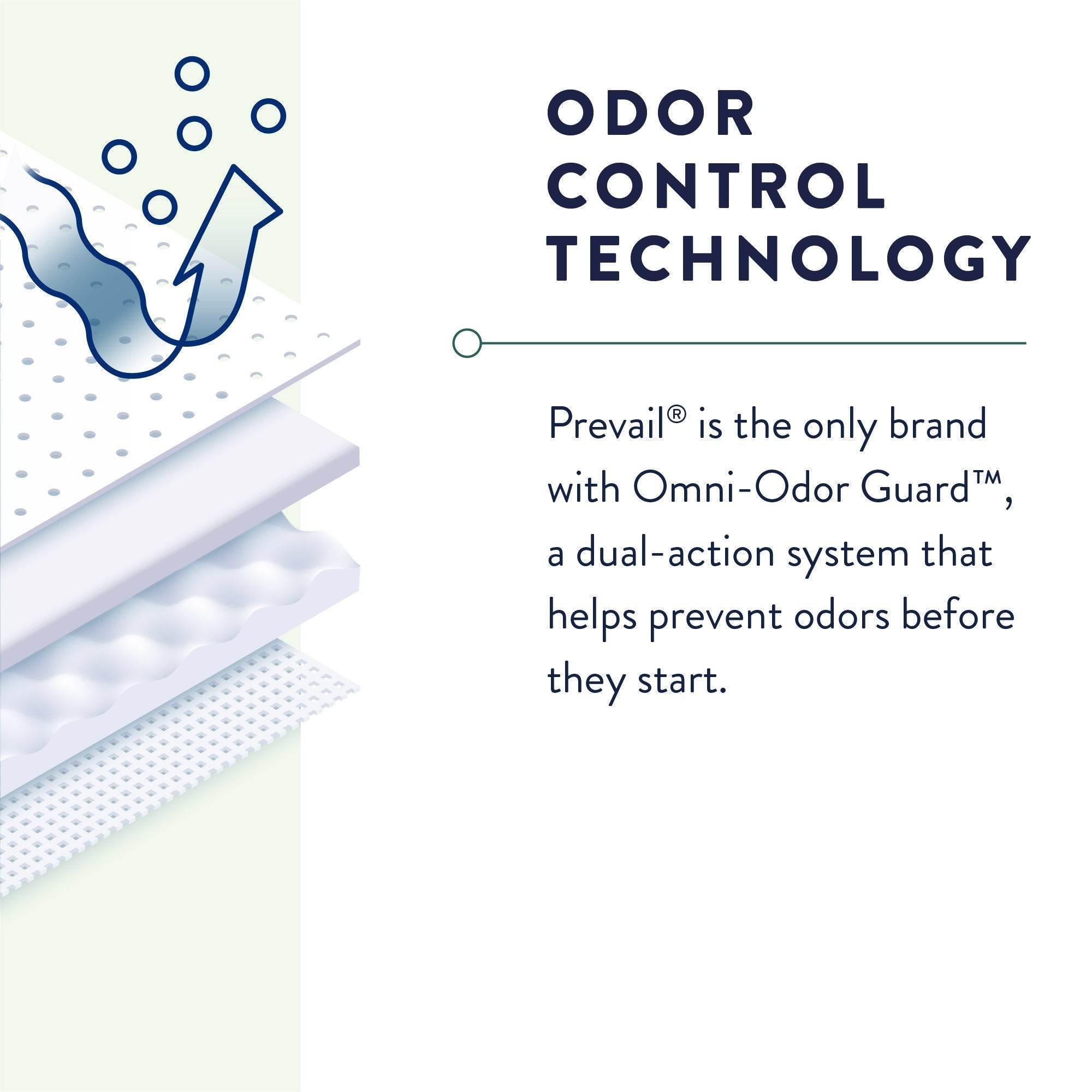 Prevail® Overnight Absorbent Underwear, Extra Large PVX-514
