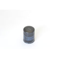 Athena 03-06 Polaris Sportsman 600 Oil Filter FFP022