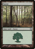 Forest (DPA-111) - Duels of the Planeswalkers