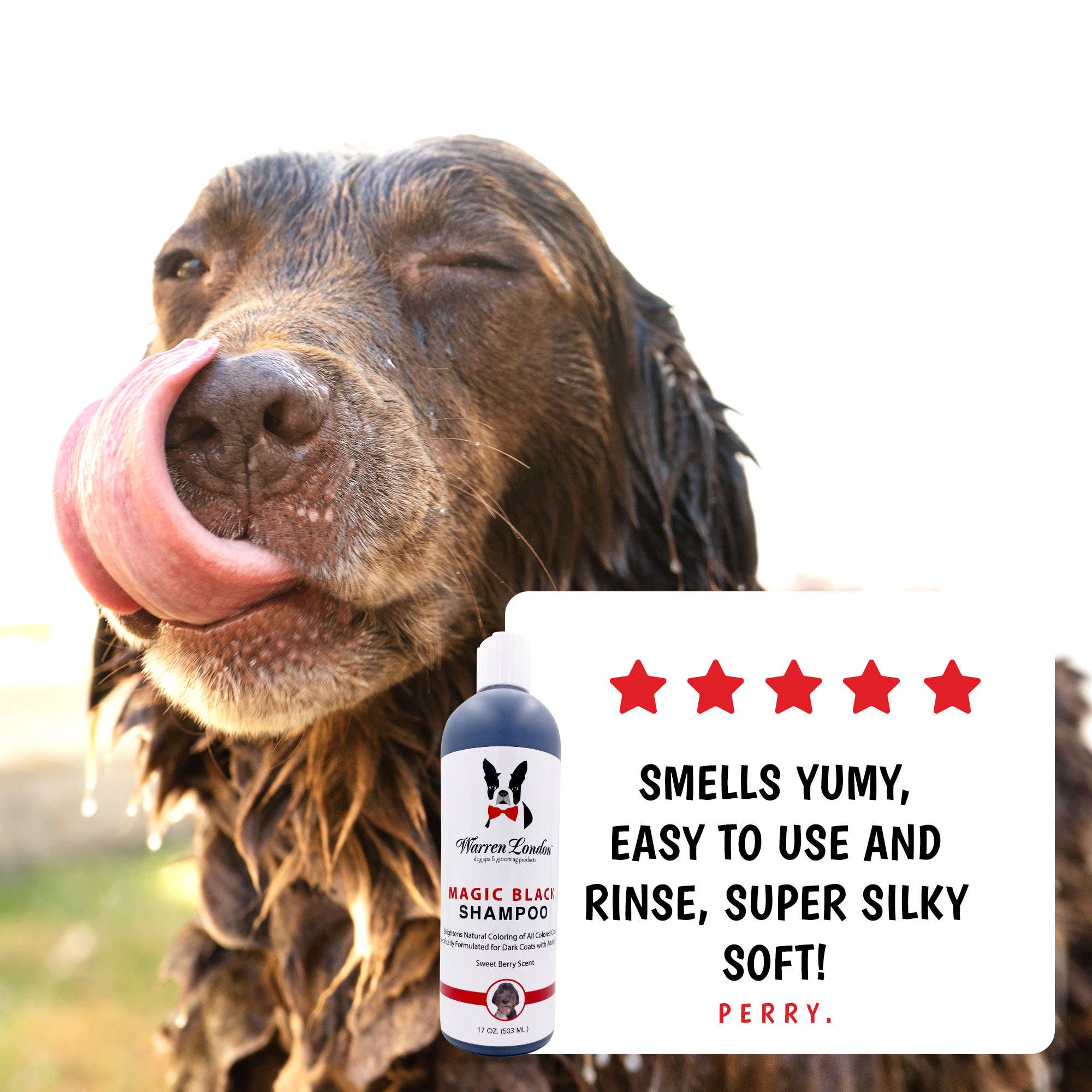 🖤🐶 Magic Black Brightening Dog Shampoo – Enhance Shine & Deepen Dark Coats Naturally ✨🛁