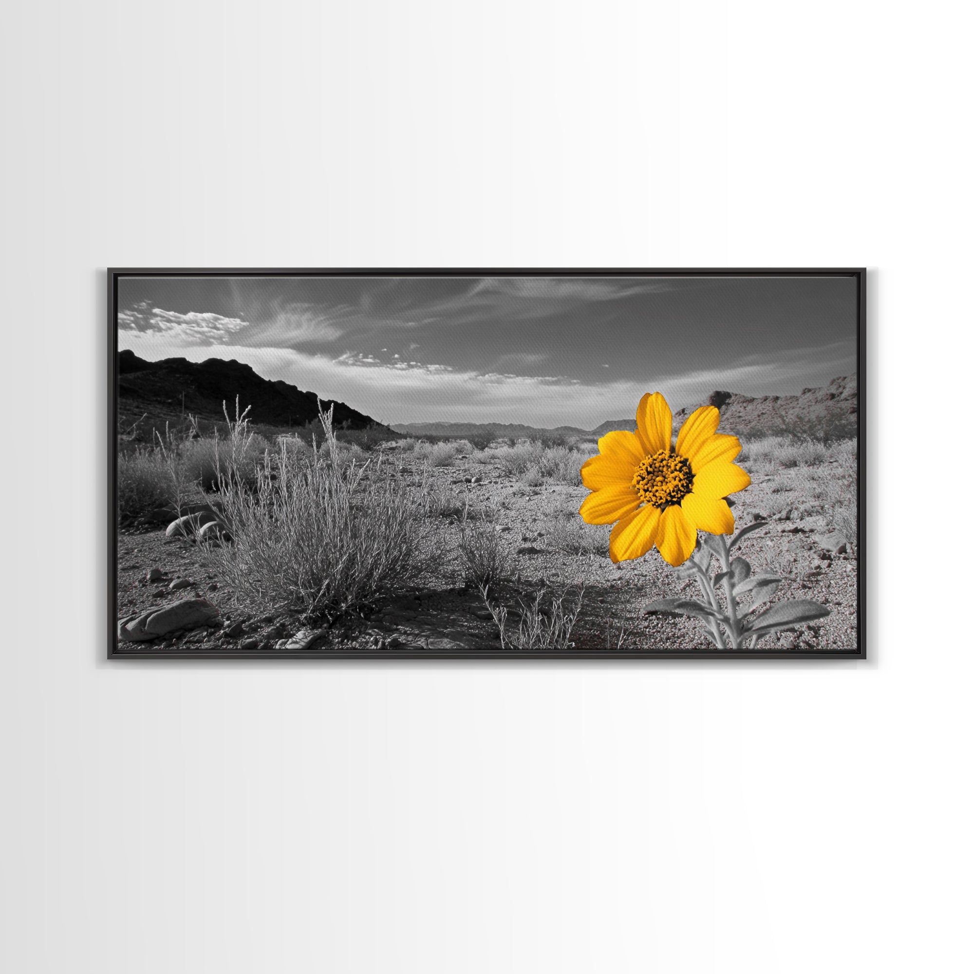 Yellow Flower, Desert Bloom, Monochrome Landscape, Canvas Print, Botanical Wall Art, Minimalist Nature Decor, Modern Kitchen Accent