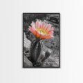 Blooming cactus, botanical print, desert flora, framed canvas print, nature decor, succulent wall art, pink flowers, southwest painting