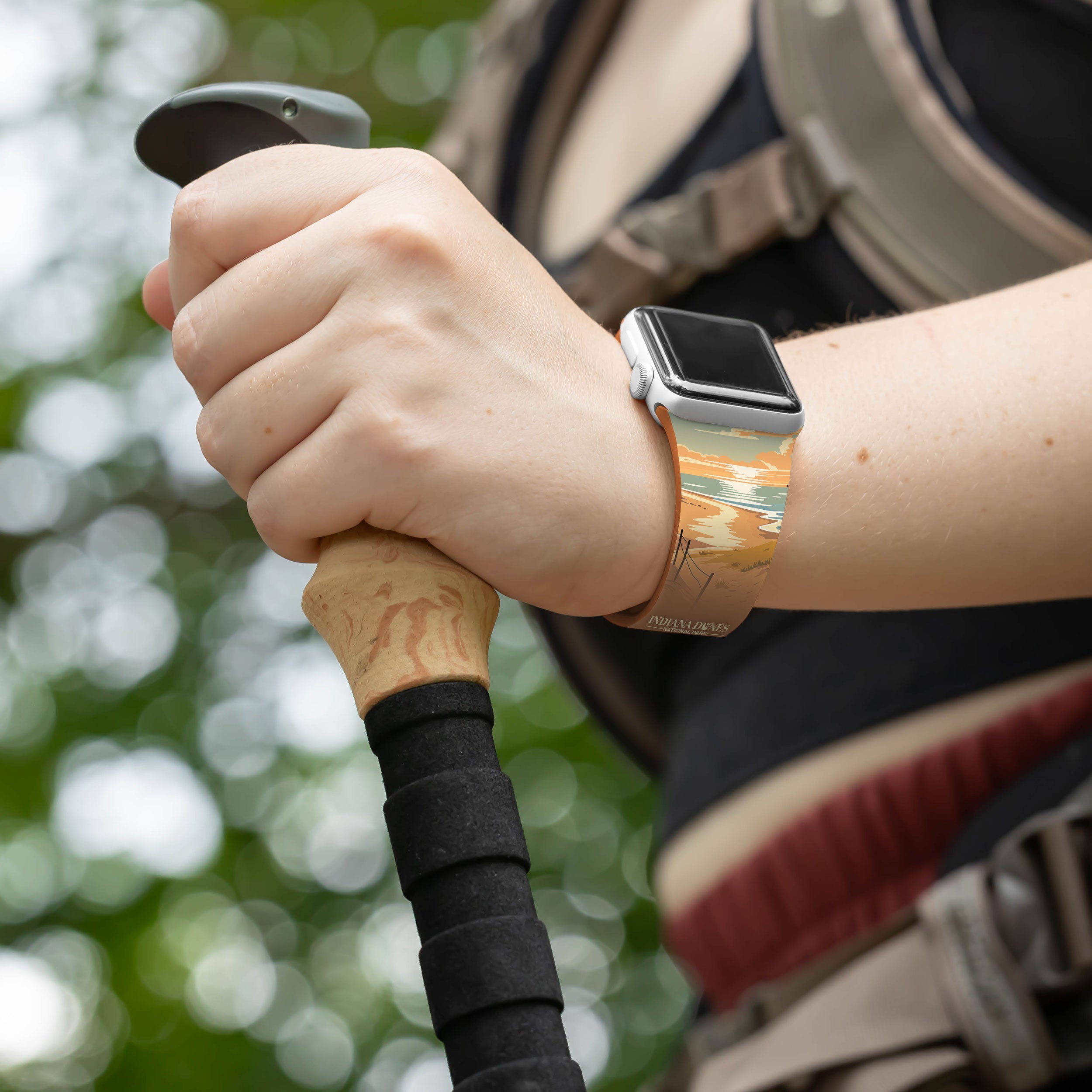 National Parks Indiana Dunes HD Fitbit Versa 3 & Sense 1 Watch Band