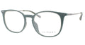 Primary Pn502 Eyeglasses