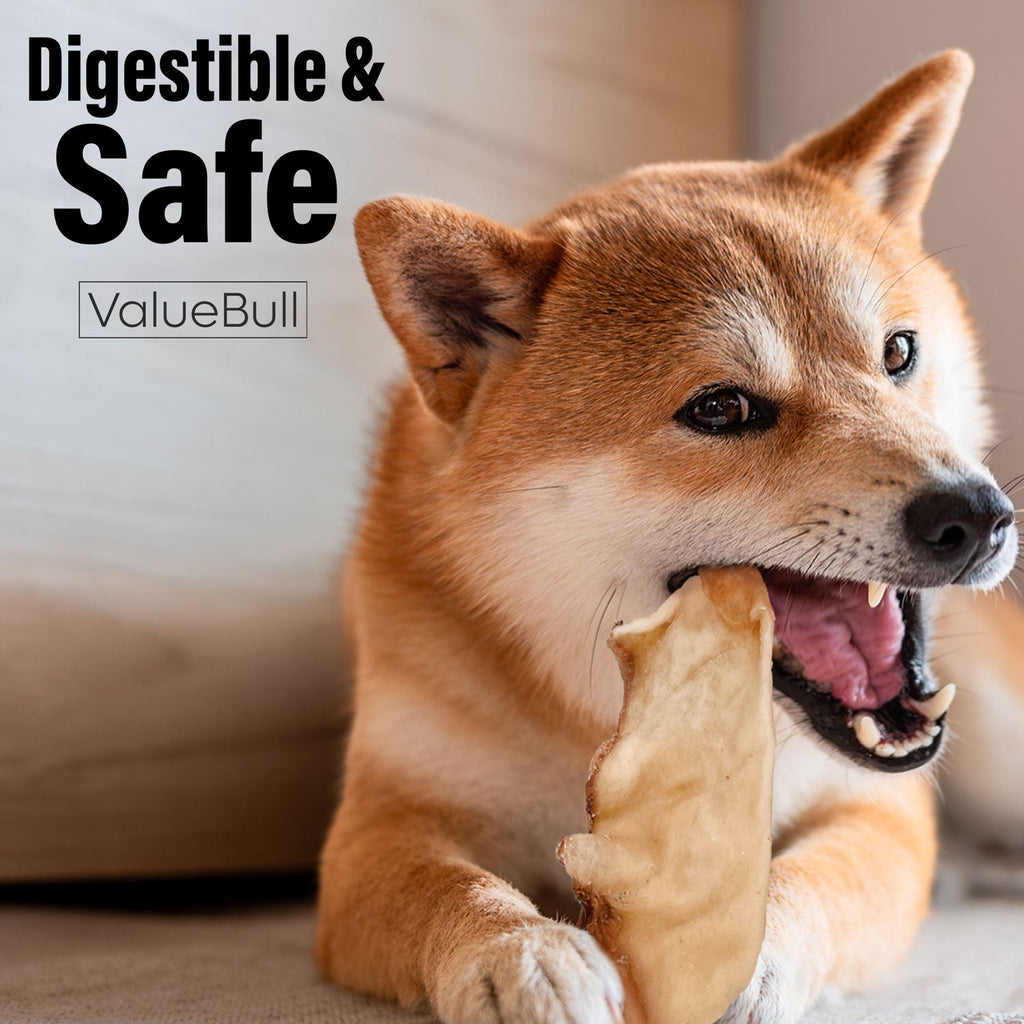 ValueBull USA Collagen Chips Dog Chews, Natural Long-Lasting Dog Treats, 100 Count