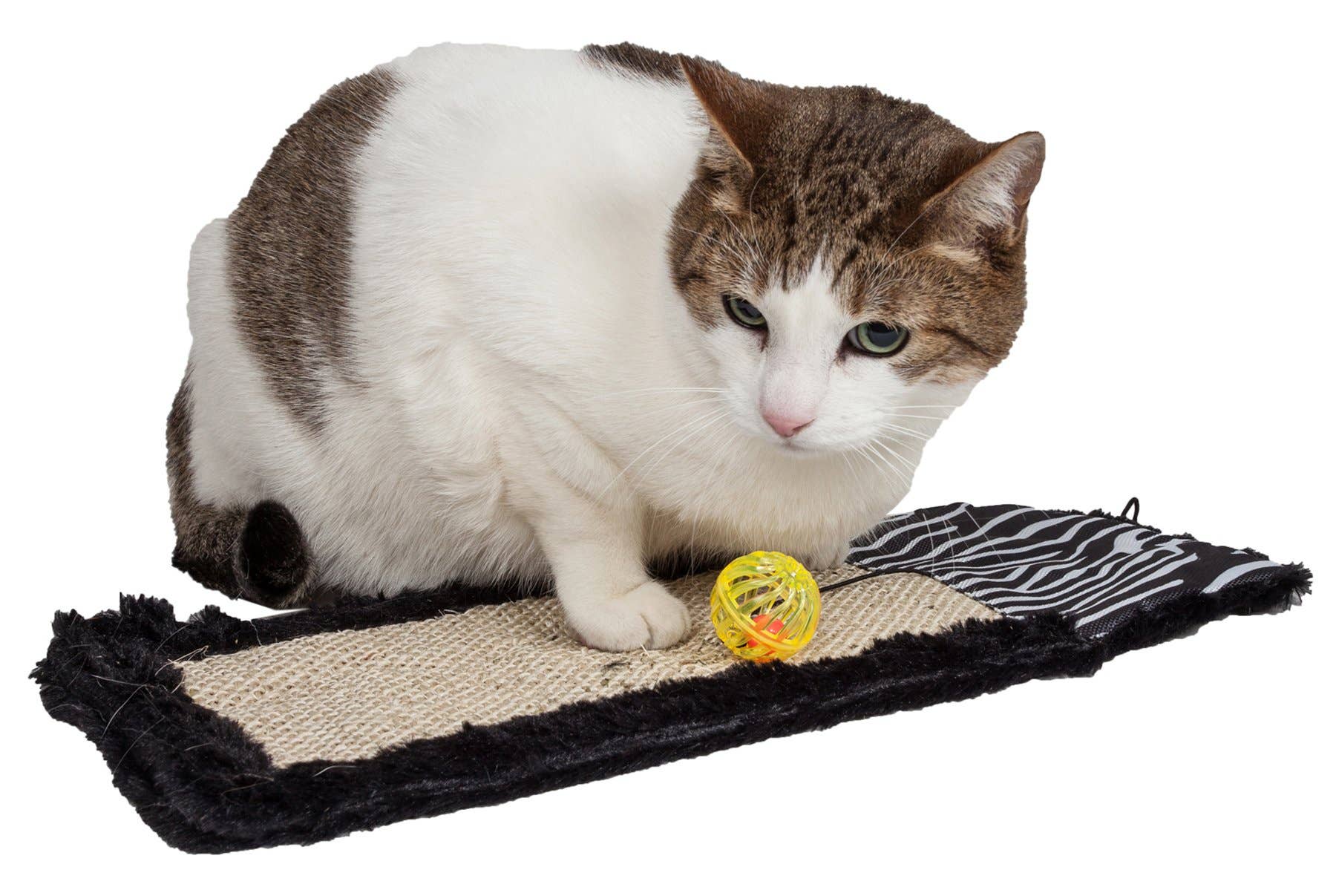 🐈💕🌿Eco-Natural Cat Scratcher