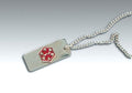 Penicillin Allergy Medical Alert Necklace - Stainless Steel, 24 Inch