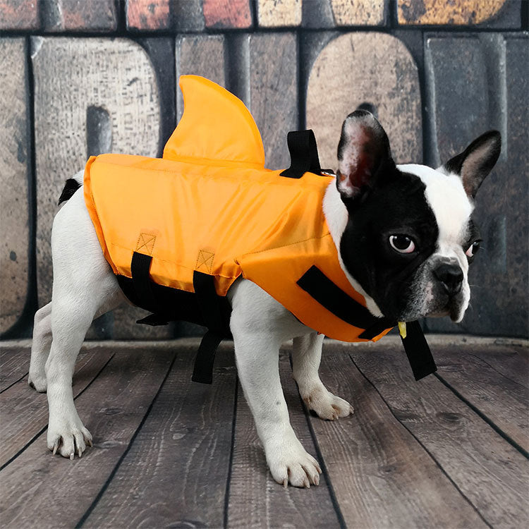 Large and small dog tide brand pet swimsuit