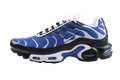 Nike Air Max Plus 'Varsity Royal Black White'
