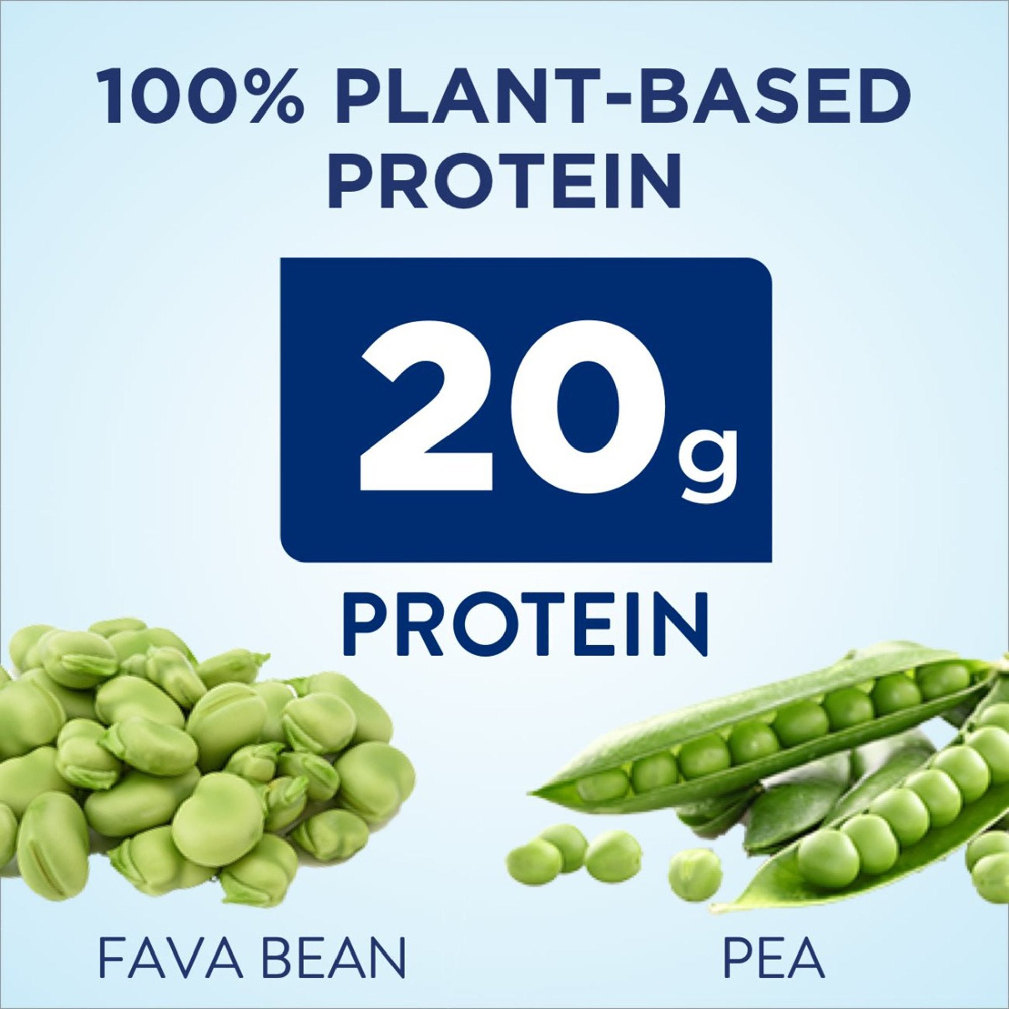 Ensure® Plant Based Protein Nutrition Shake, Chocolate, 11-ounce carton 67453