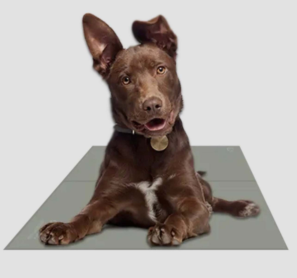 ❄️🐾 Chillz™ Gel Cooling Mat for Dogs & Cats