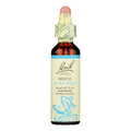 Beech Flower Essence by Bach Flower Remedies - 0.7 Fl Oz