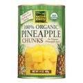 Native Forest Organic Pineapple Chunks, 14 Oz. (Pack of 6)