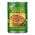 Amy's Organic Lentil Vegetable Soup, 14.5 Oz. (Pack of 12)
