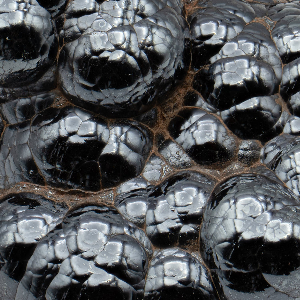 Botryoidal Hematite - Polished Handheld Specimens