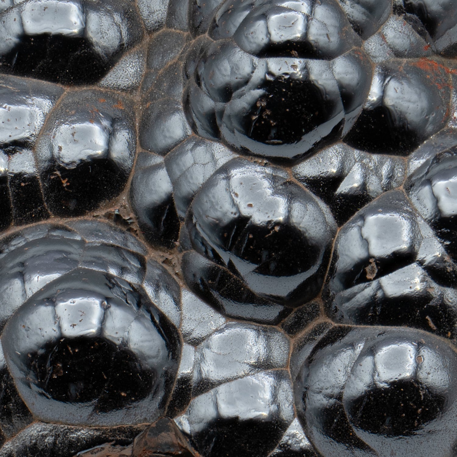 Botryoidal Hematite - Polished Handheld Specimens