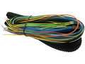 AEM Electronics 24" Fuel/Igntion Controller Flying Lead Harness