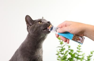 Lickable Cat Treats Exotic Fish Variety Pack 12ct - Ahi Tuna, Wild Pink Salmon, Red Snapper - Puree Bisque