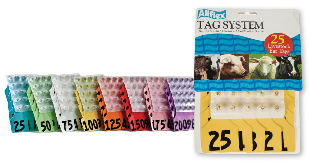 ALLFLEX: LARGE - FEM/SM - YELLOW - 176-200