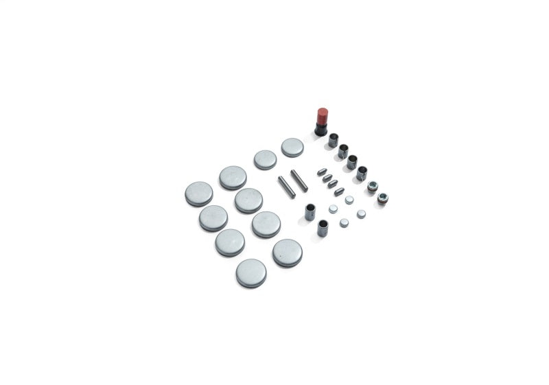Ford Racing Boss 5.0L Block Plug & Dowel Kit M-6026-BOSS50