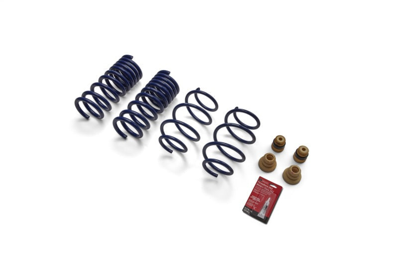 Ford Coil Spring Kit Frt/Rear 15-19 Mustangs FRDM5300-XA
