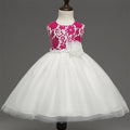 new European girls retro lace dress baby dress skirts wholesale baby full moon4