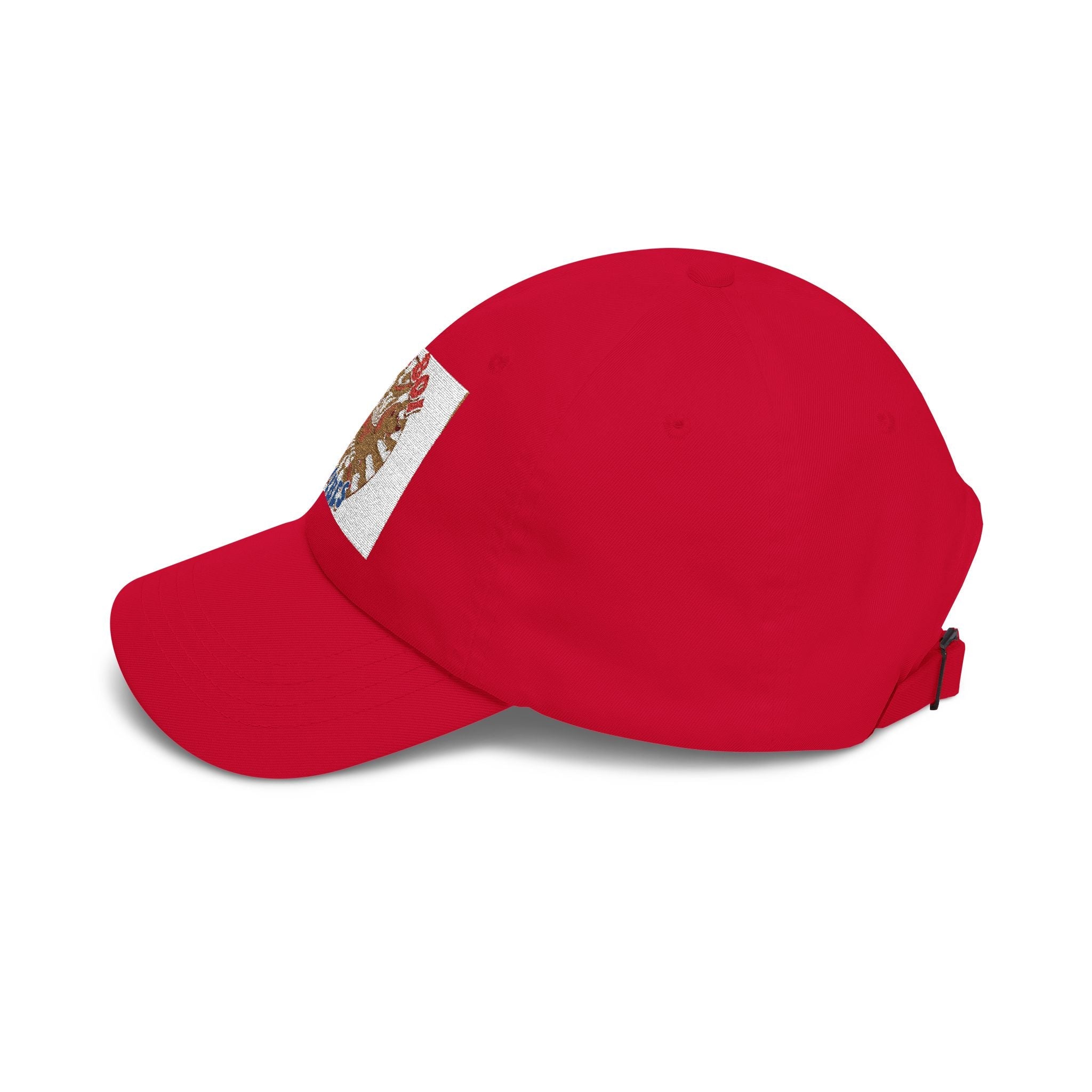 Funny Weiner Dog Meme Classic Dad Cap — Long Boy Graphic
