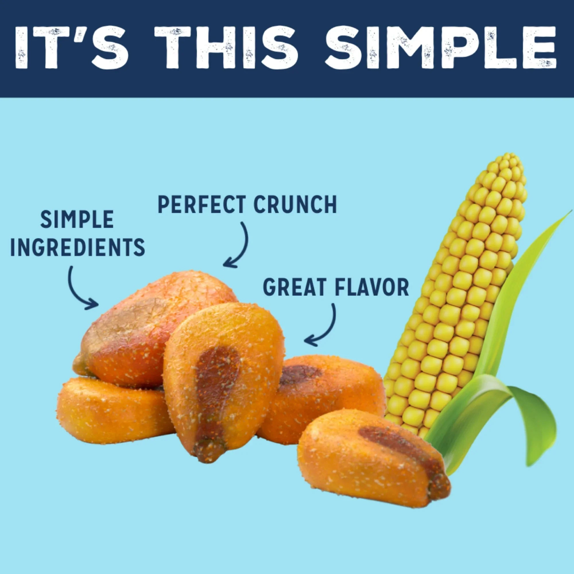 Love Corn Roasted Corn with Sea Salt, Pack of 10 - 1.6 Oz.