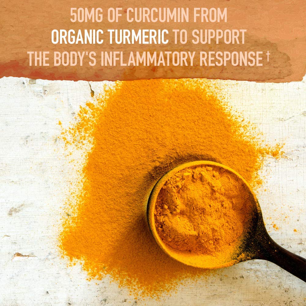 Garden of Life Organics Fermented Organic Turmeric Boost, 4.76 Ounce