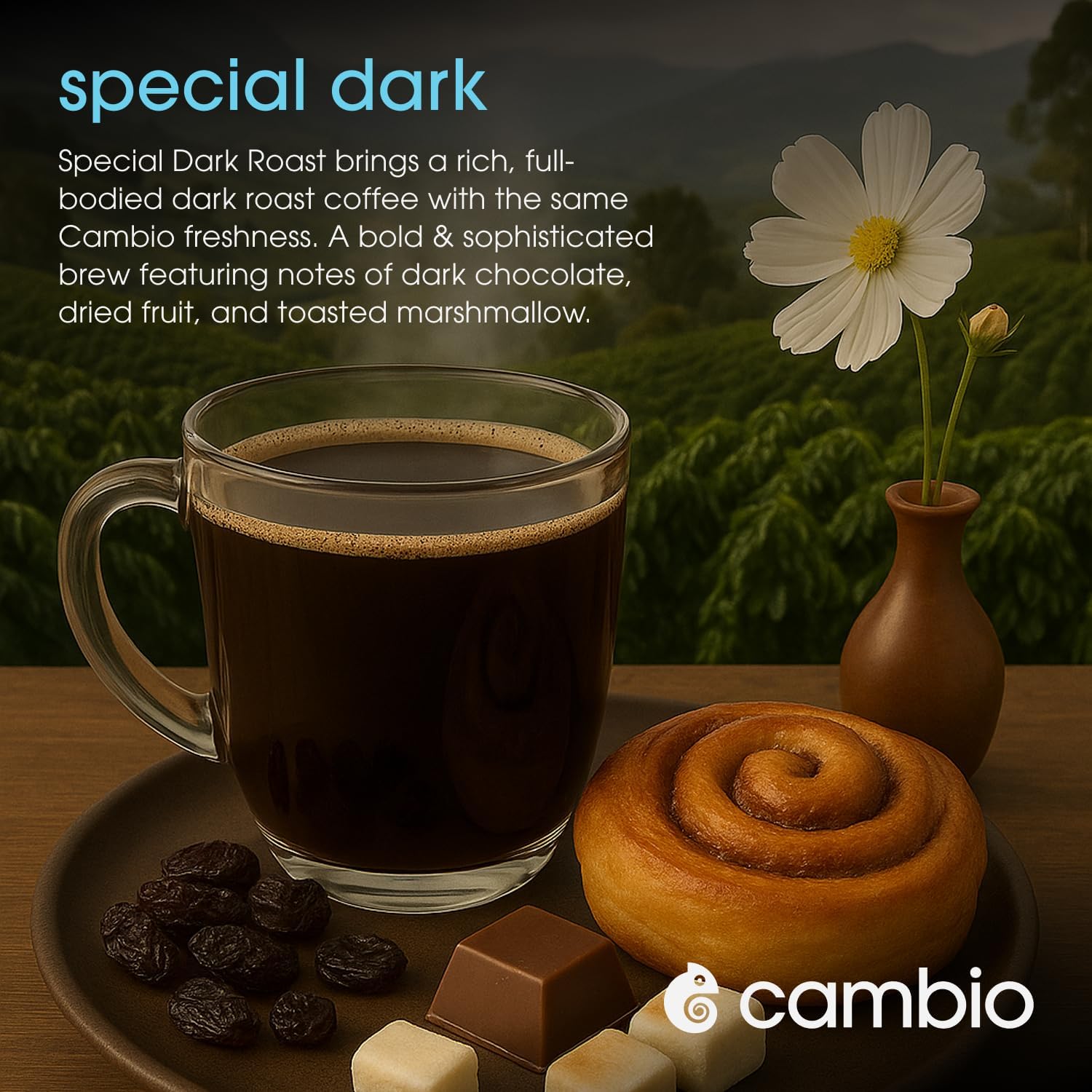 Cambio Roasters Organic Special Dark Roast Coffee, Case of 6, 10 Count