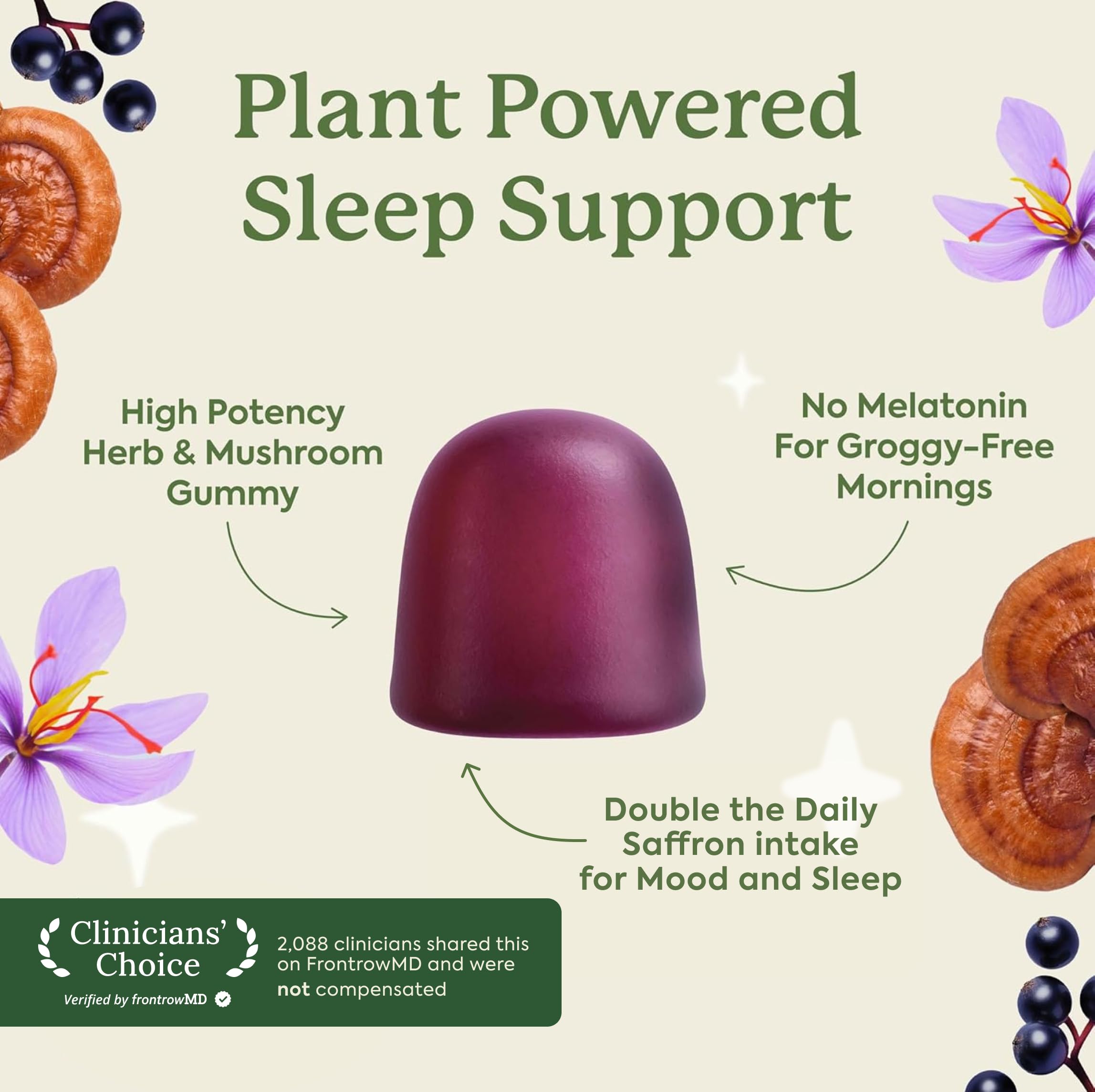 Plant People WonderSleep Elderberry Mushroom Gummies, 60 Count