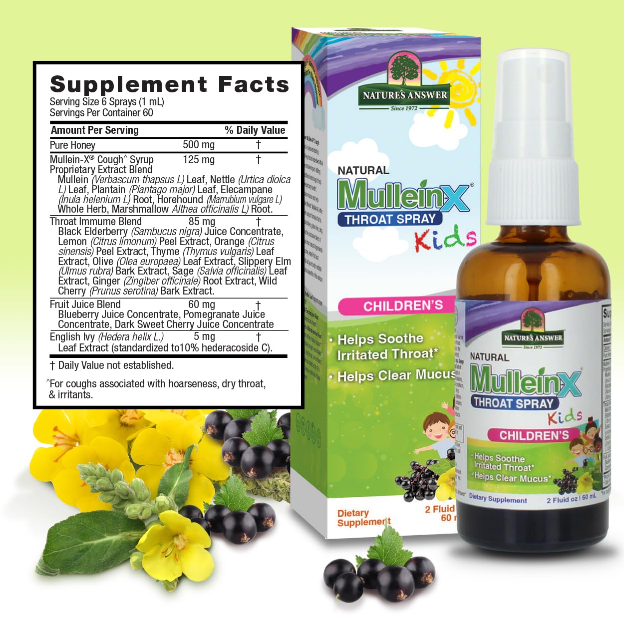 Nature's Answer Mullein-X Kids Throat Spray, 2 Ounces
