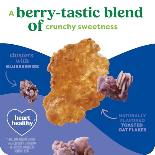 Kashi Blueberry Clusters Organic Breakfast Cereal, Case of 8, 17.2 oz Boxes