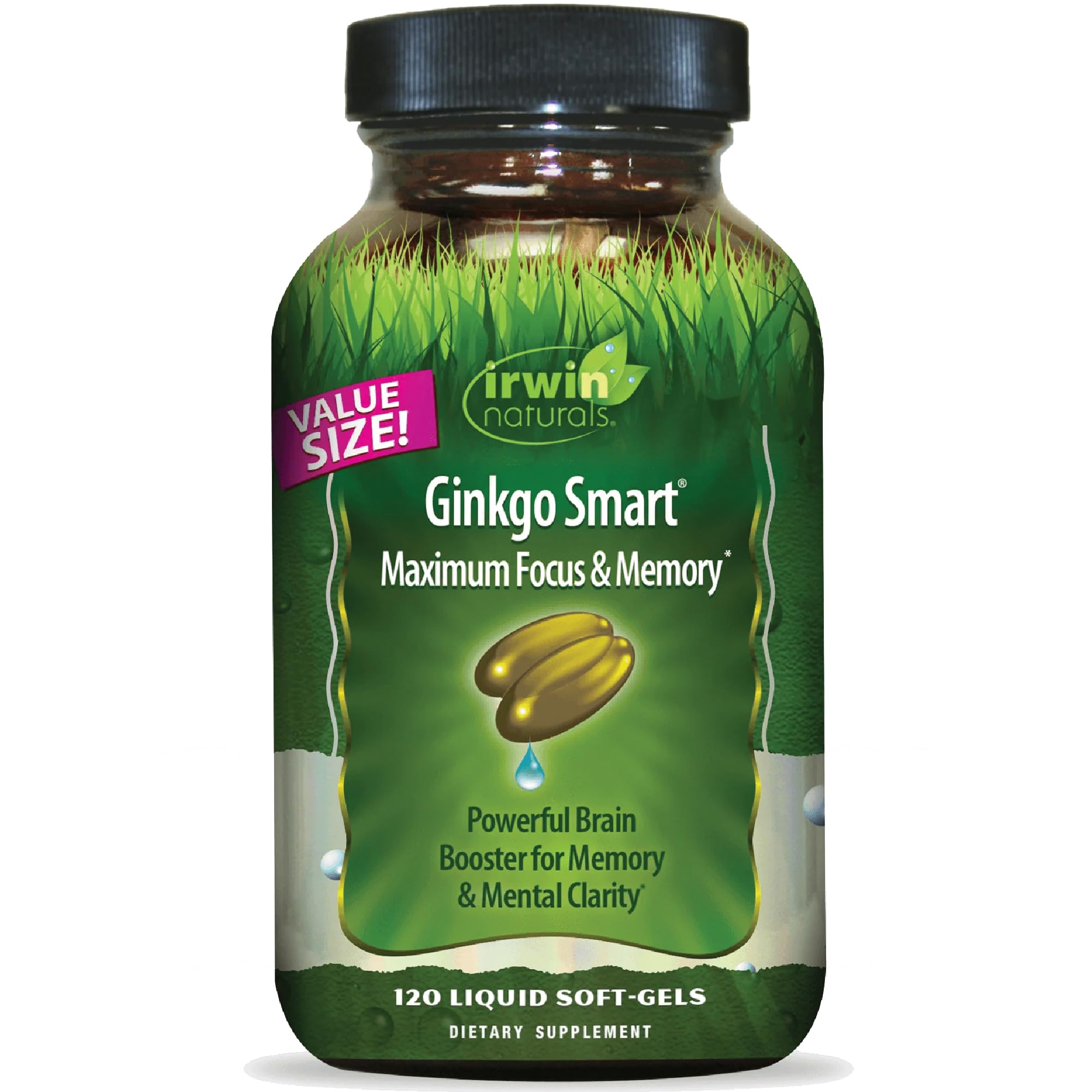 Irwin Naturals Ginkgo Smart Value Size Liquid Soft-Gels, 120 Count