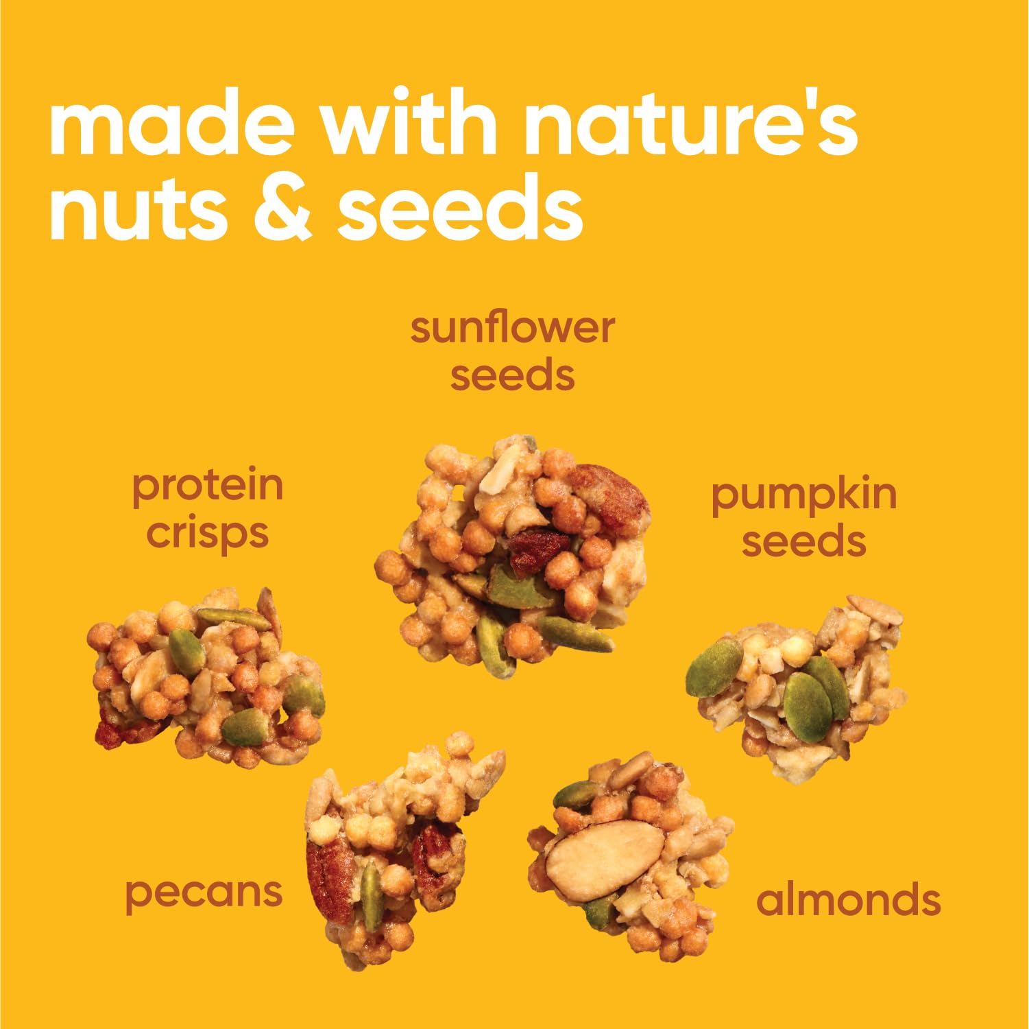 Nutrail Honey Nut Protein Granola, Case of 6, 8 oz