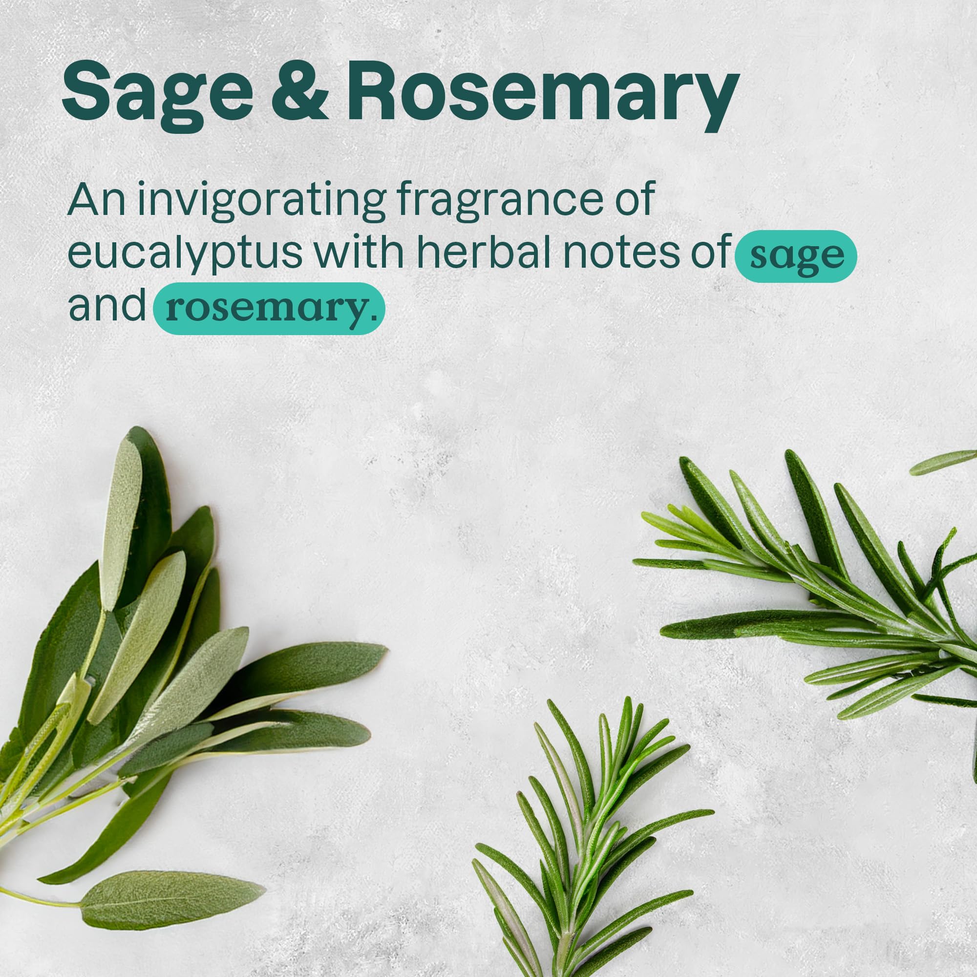 Attitude Sage and Rosemary Deodorant, 2.64 Ounces