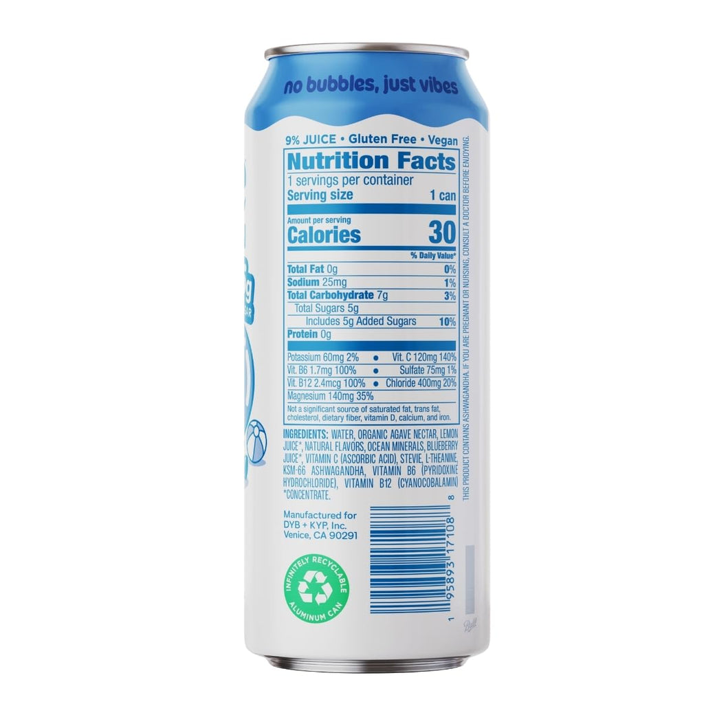 Leisure Project Blueberry Electrolyte Water, Case of 12, 16 Fluid Ounce Bottles