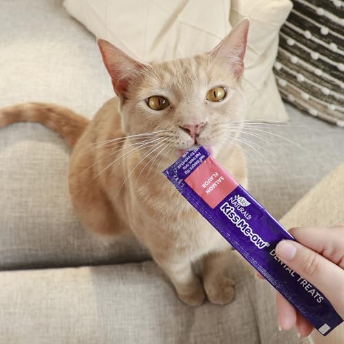 Ark Naturals Lickable Brushless Toothpaste Salmon Dental Treat, Case of 6, 2 Ounce Tubes