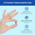 Ark Naturals Clean Chews Kiss Me-Ow Chicken Dental Chews, Case of 6, 3 Ounce Bags