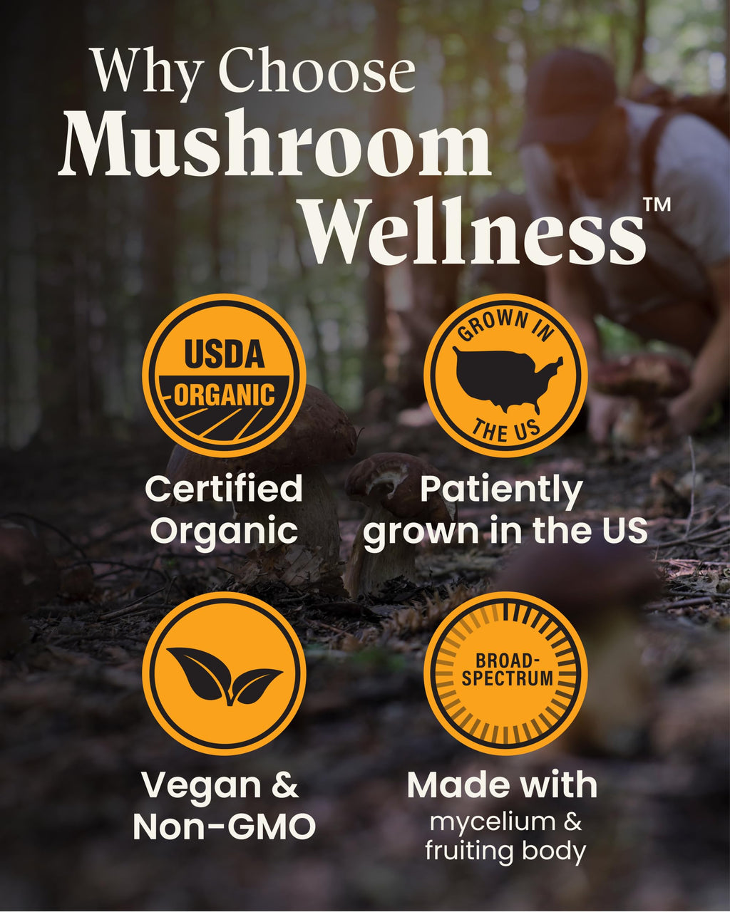 Herb Pharm Mushroom Wellness Turkey Tail Blend with Reishi, 90 Vegetarian Capsules