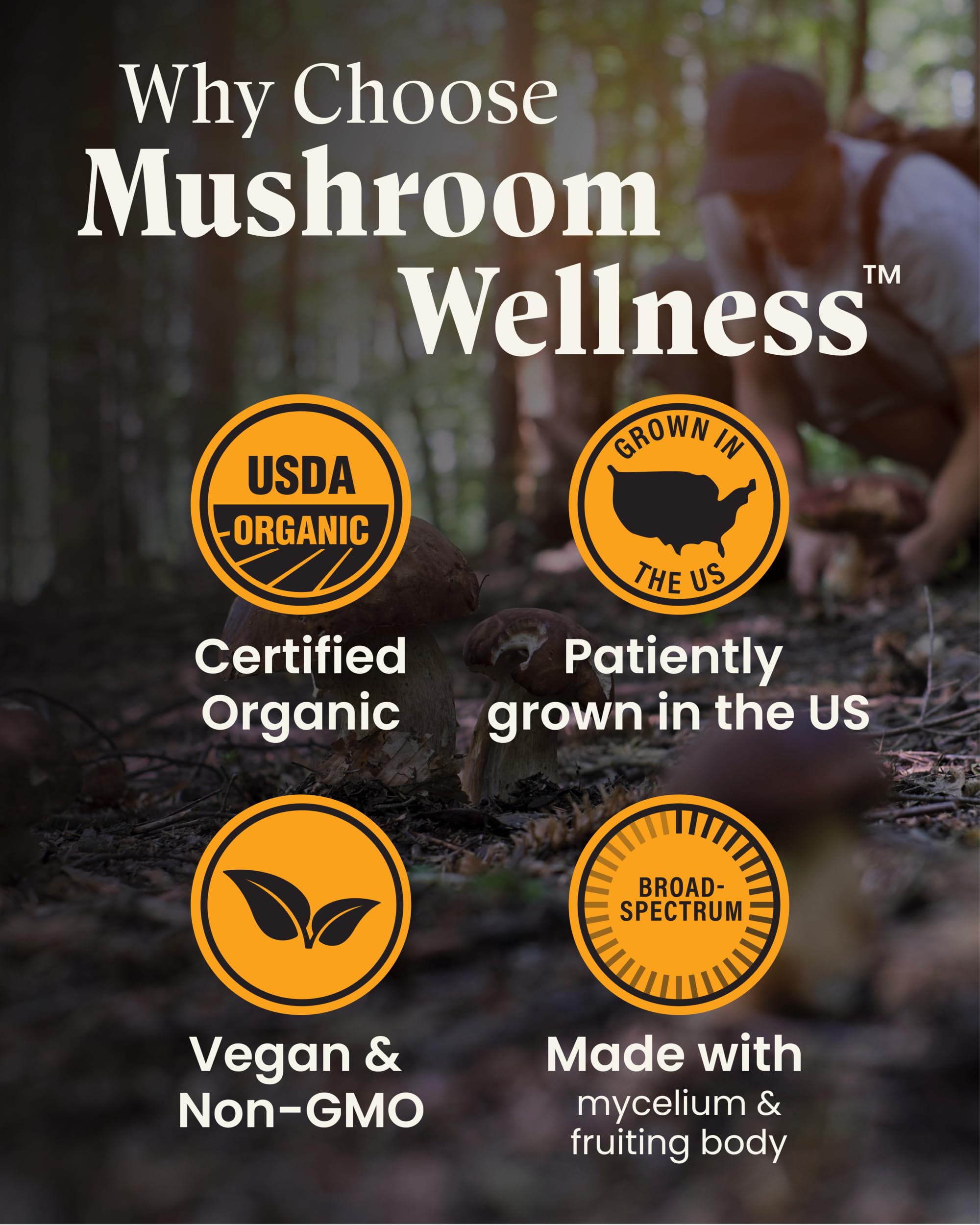 Herb Pharm Mushroom Wellness Turkey Tail Blend with Reishi, 90 Vegetarian Capsules