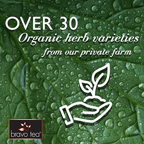 Bravo Tea Turkey Tail Mushroom Herbal Tea Bags, 20 Count